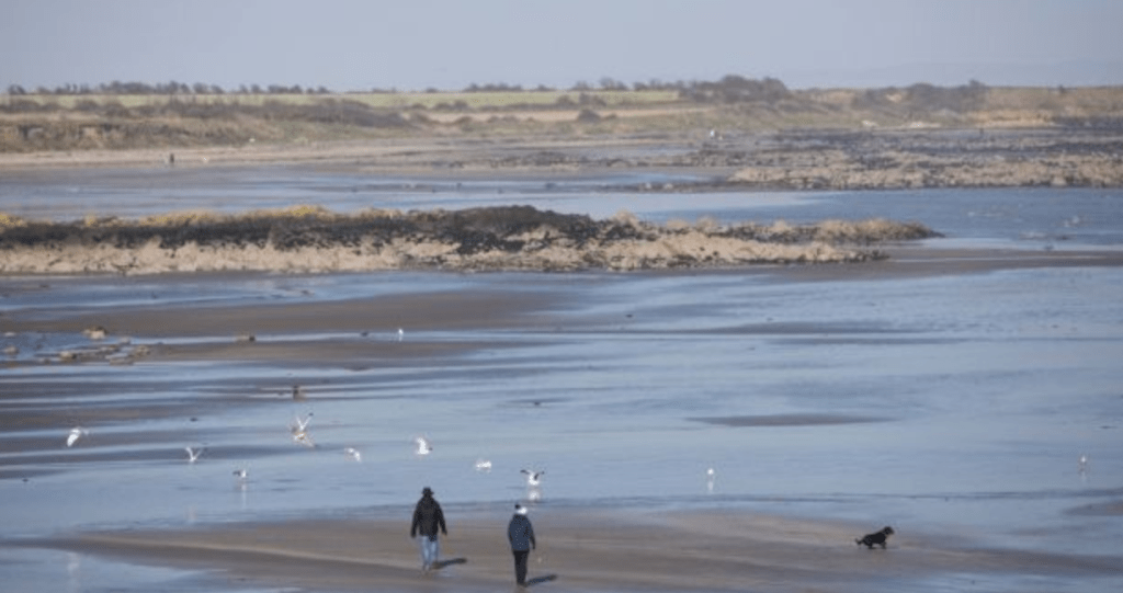 Balbriggan property analysis