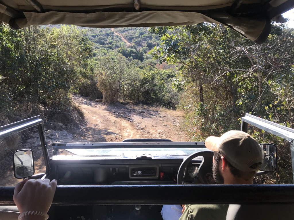 Inkwenkweze Private Game Reserve